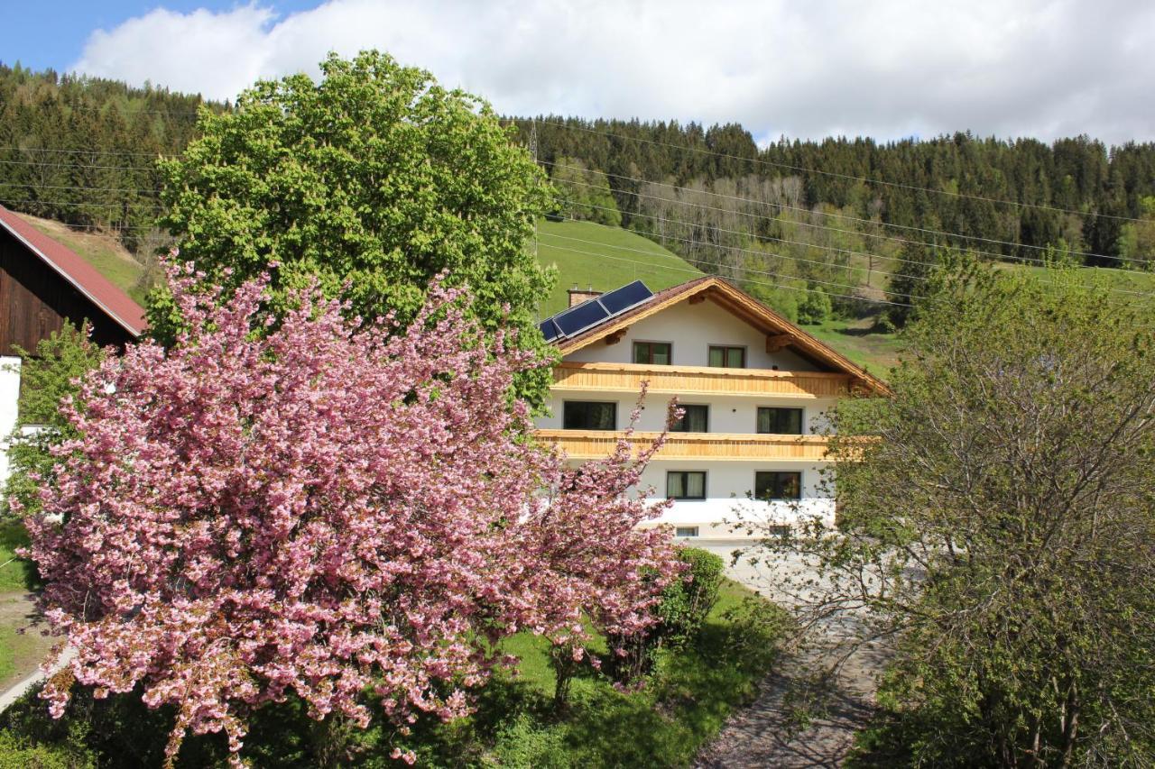 Eiblhof Apartment Schladming
